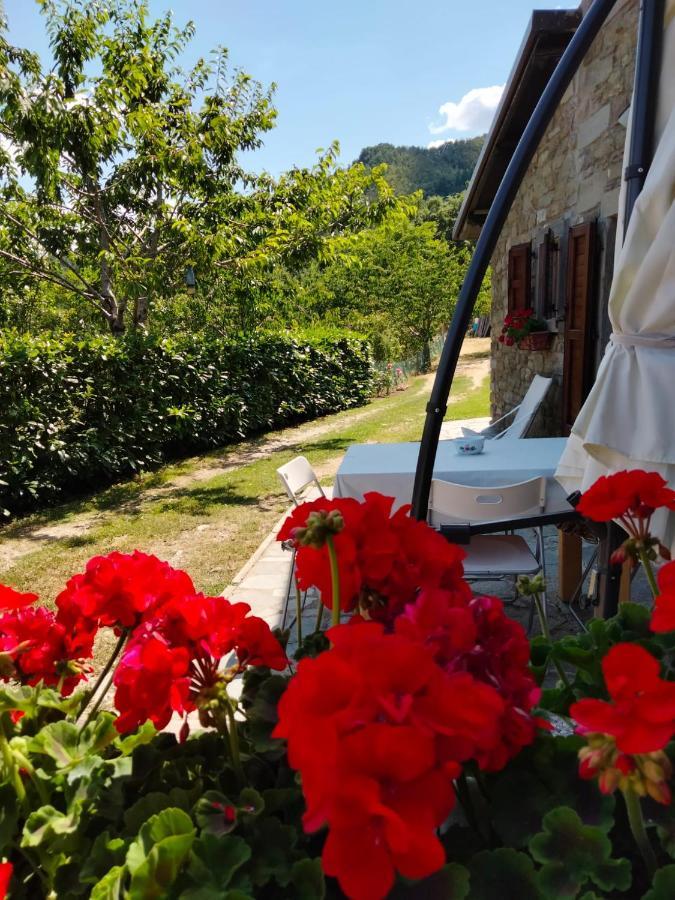 La Sala Vecchia - Lovely Tuscan Holiday House Badia Prataglia, Casentino Valley Chiusi della Verna Exterior foto